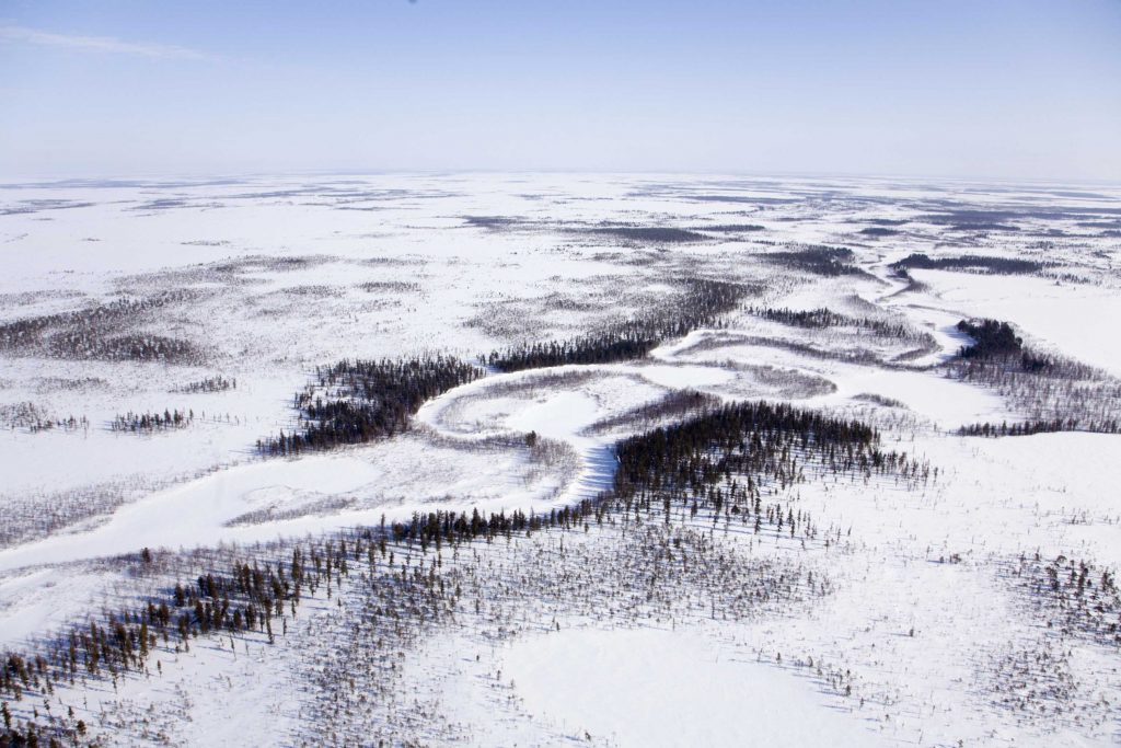 Siberian taiga landscape near the Moldanov reindeer camp, Siberia.