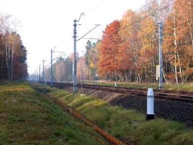 AT THE CROSSROADS OF NATURE AND TECHNOLOGY – HOW TO PREVENT RAIL ACCIDENTS INVOLVING ANIMALS – FineEngineering Magazine